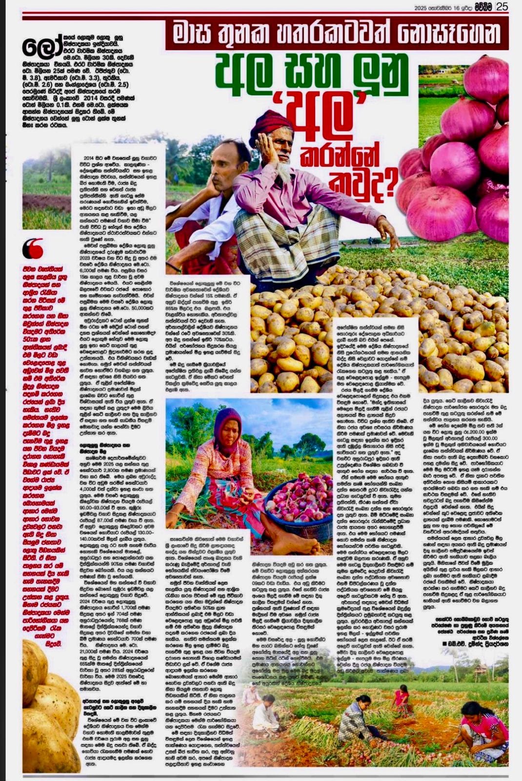 ශ්‍රී ලංකාවේ ලොකු ළුණු වෙළදපොල සහ අලෙවි ගැටලුව